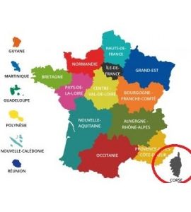 Acheter Base de Données SMS 8 000 Numéros de Téléphone Portable de Particuliers France Région Corse