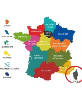 Acheter Base de Données SMS 8 000 Numéros de Téléphone Portable de Particuliers France Région Corse