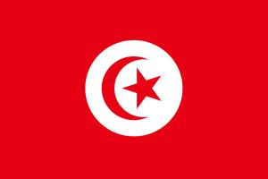 Acheter des bases de données de numéros WhatsApp Tunisie