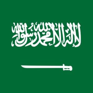 Acheter des bases de données SMS Entreprises par Pays: Arabie saoudite