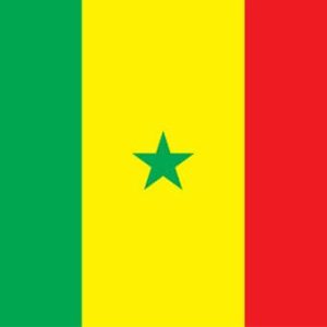 Acheter des bases de données SMS Entreprises par Pays: Sénégal